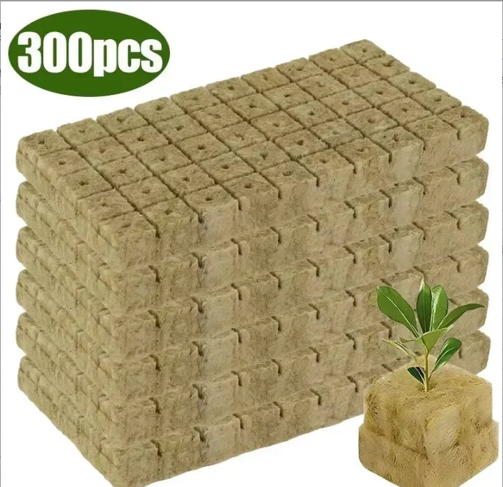 100/50x Stonewool Hydroponic Grow Media Cubes