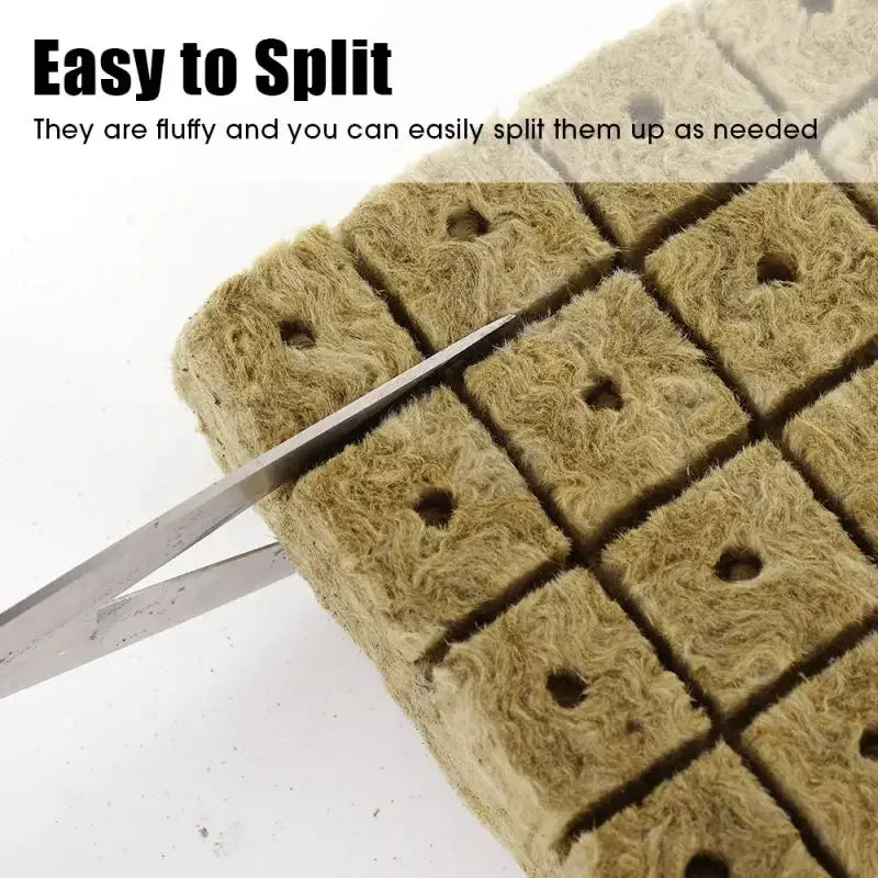 100/50x Stonewool Hydroponic Grow Media Cubes