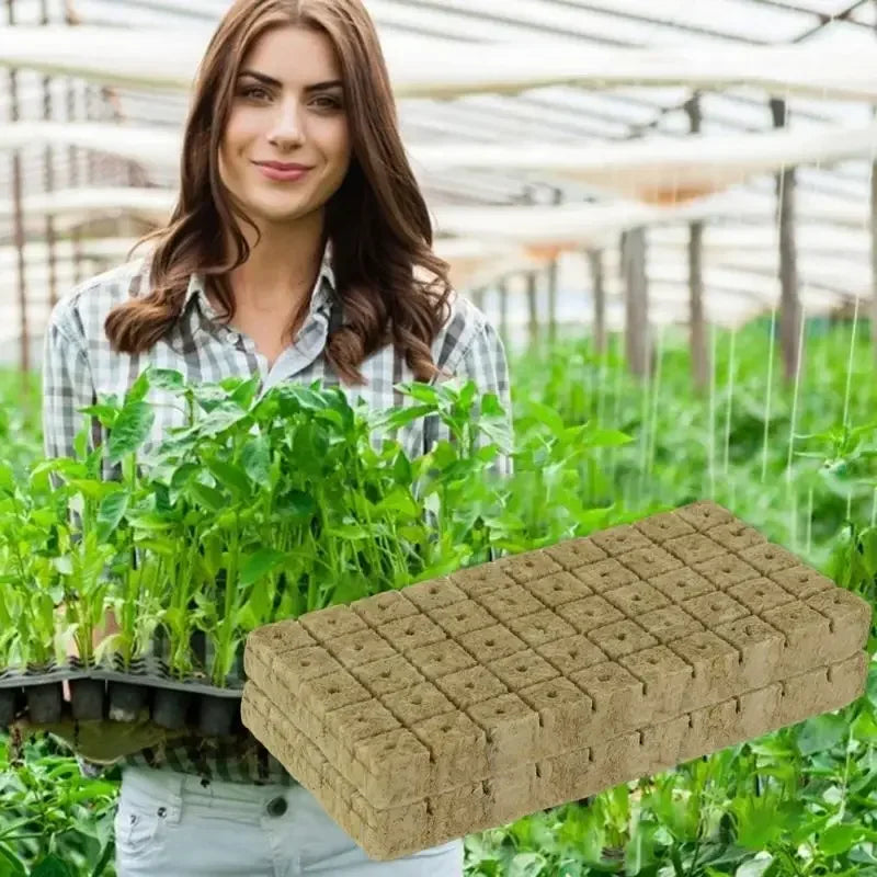 100/50x Stonewool Hydroponic Grow Media Cubes