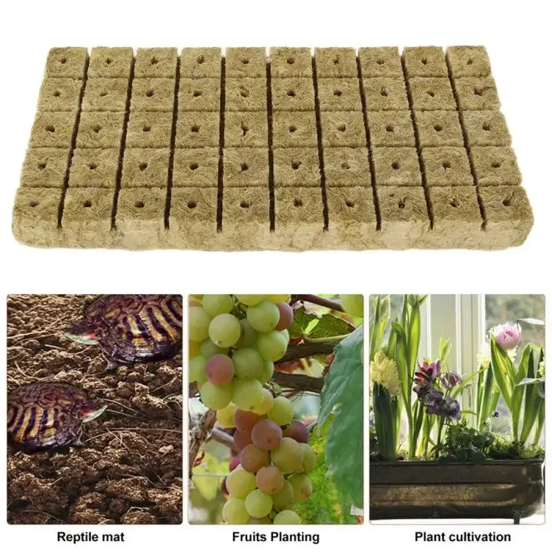 100/50x Stonewool Hydroponic Grow Media Cubes