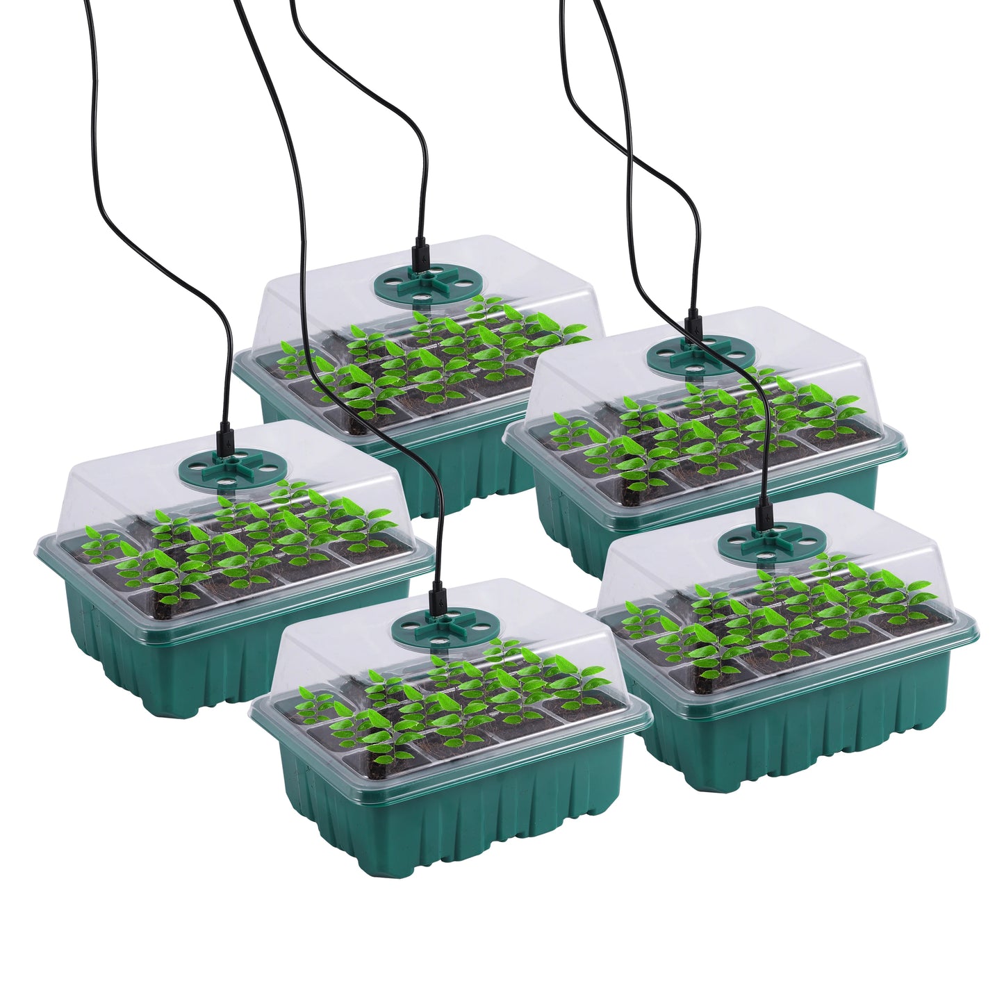 Seed Starter Tray Box With LED Grow Light Nursery Pot Seedling Germination Planter