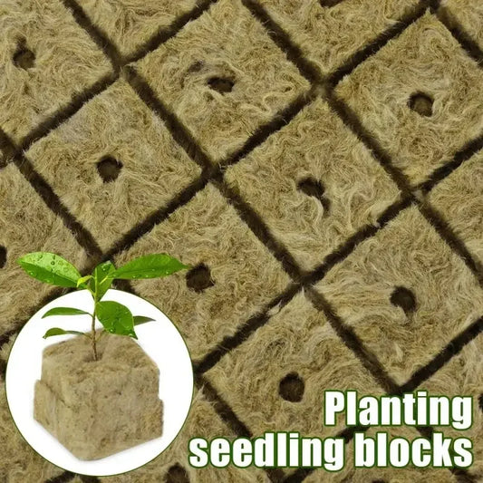 100/50x Stonewool Hydroponic Grow Media Cubes