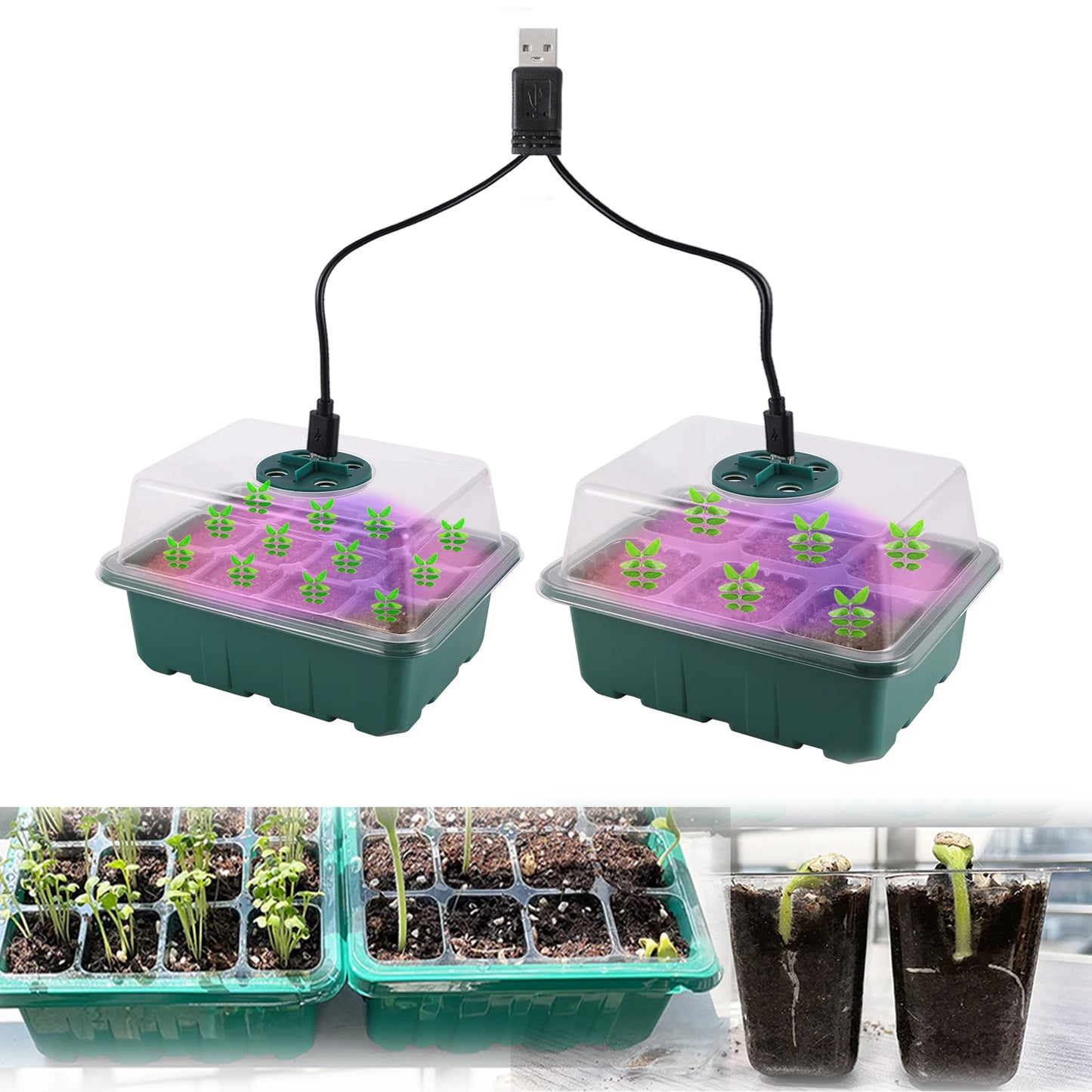 Seed Starter Tray Box With LED Grow Light Nursery Pot Seedling Germination Planter