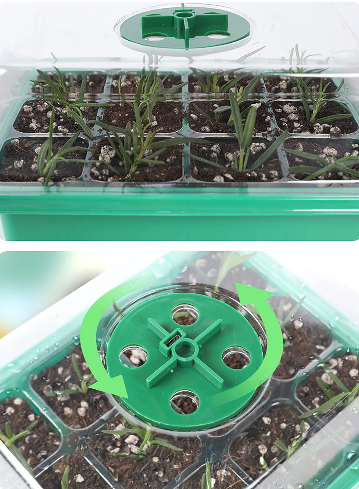 Seed Starter Tray Box With LED Grow Light Nursery Pot Seedling Germination Planter