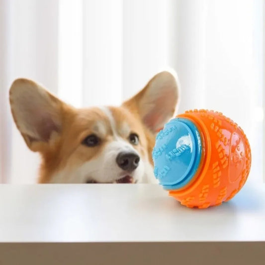 Dog Squeaky Balls Toy